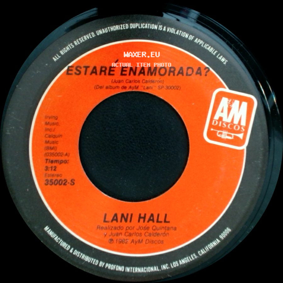 Lani Hall - Estaré Enamorada? / Adios Tristeza side A