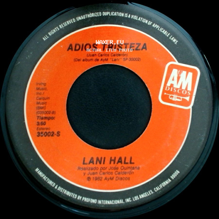 Lani Hall - Estaré Enamorada? / Adios Tristeza side B