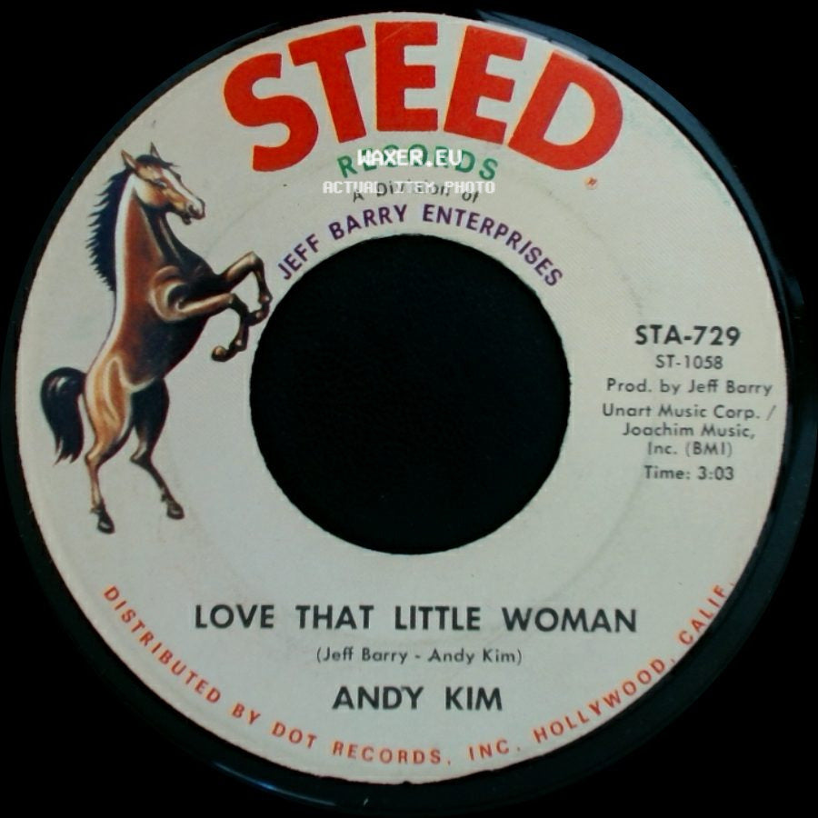 Andy Kim - Love That Little Woman / Be My Baby side A