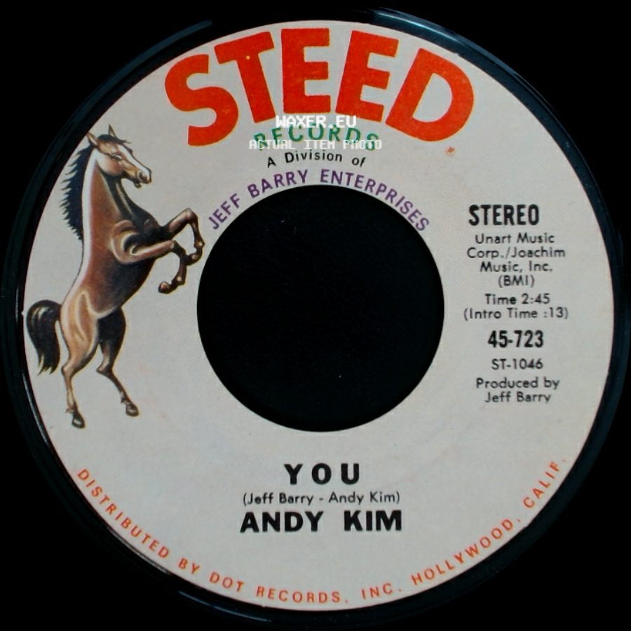 Andy Kim - You / A Friend In The City side A