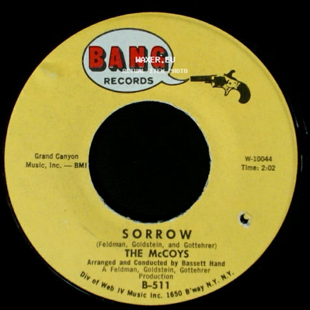 The Mccoys - Sorrow / Fever side A