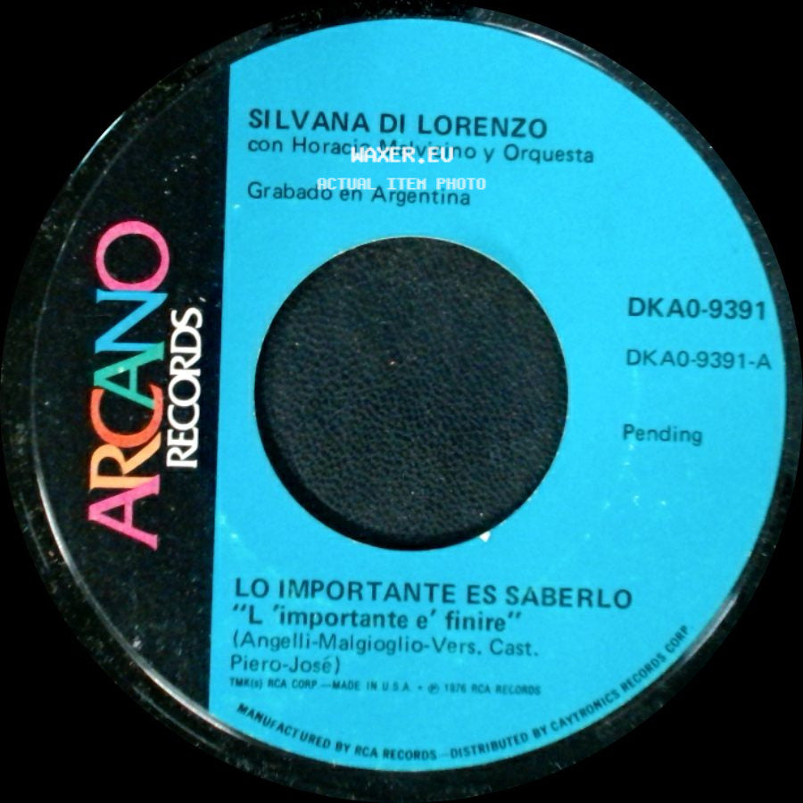 Silvana Di Lorenzo Con Horacio Malvicino Y Orquesta - Lo Importante Es Saberlo / Cubreme De Amor side A