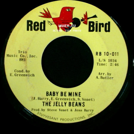 The Jelly Beans - Baby Be Mine / The Kind Of Boy You Can't Forget side A