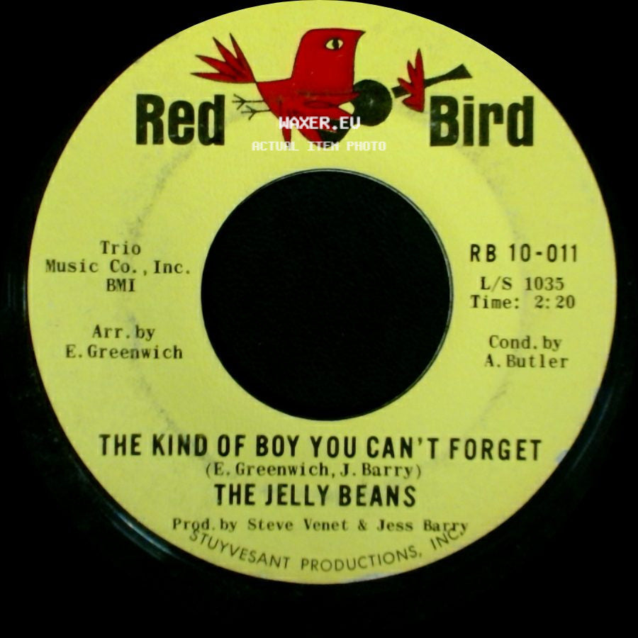The Jelly Beans - Baby Be Mine / The Kind Of Boy You Can't Forget side B