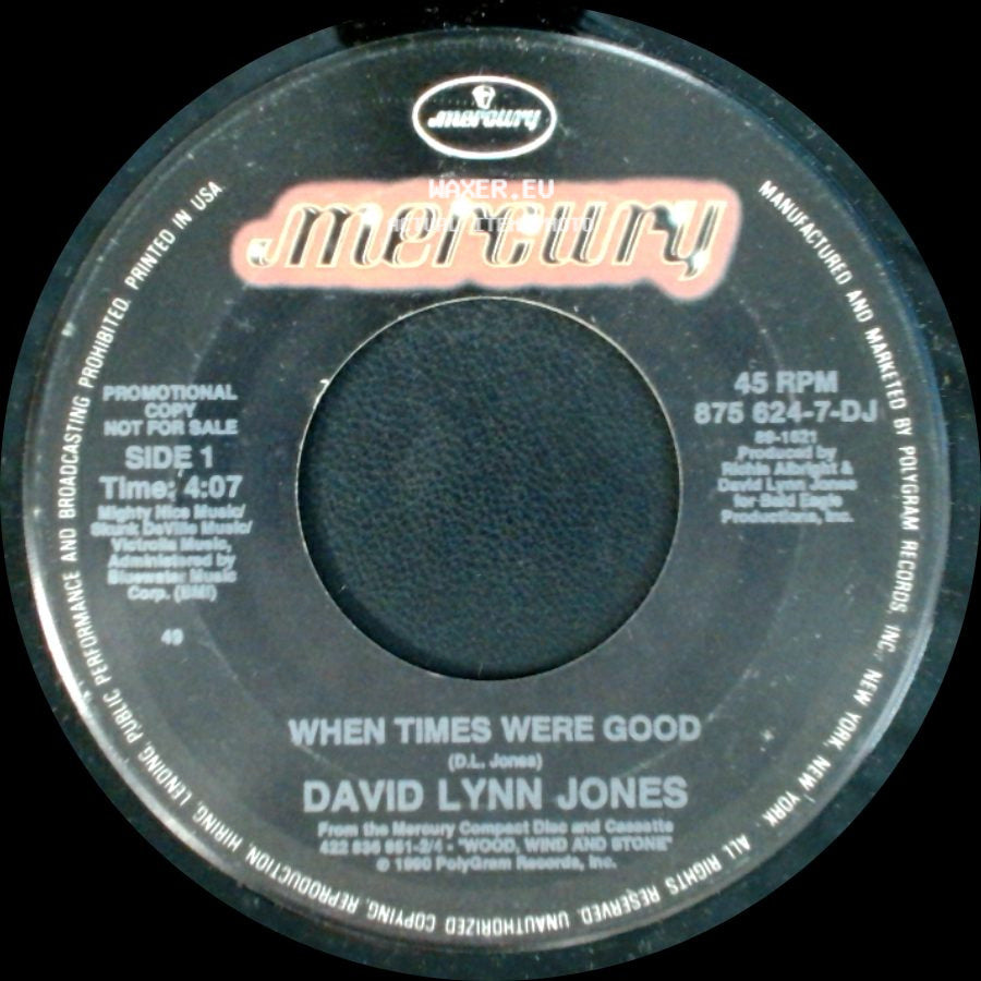 David Lynn Jones - When Times Were Good / When Times Were Good side A