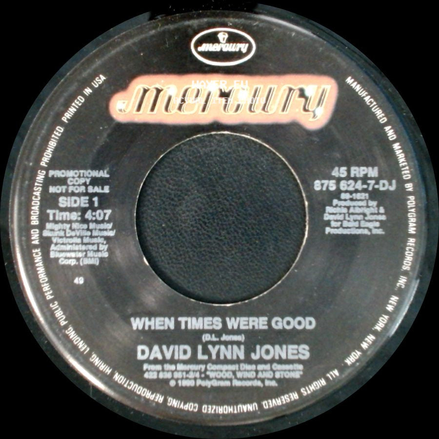 David Lynn Jones - When Times Were Good / When Times Were Good side B