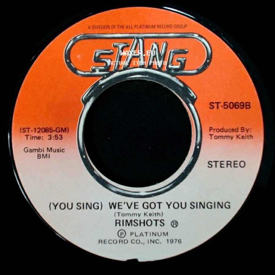 Rimshots - (You Sing) We've Got You Singing / We've Got You Singing side A