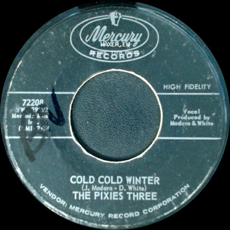 The Pixies Three - Cold Cold Winter / 442 Glenwood Avenue side A