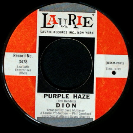Dion - Purple Haze / The Dolphins side A