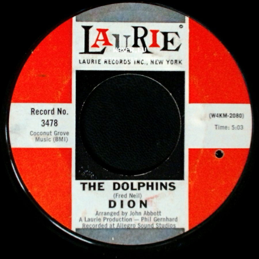 Dion - Purple Haze / The Dolphins side B