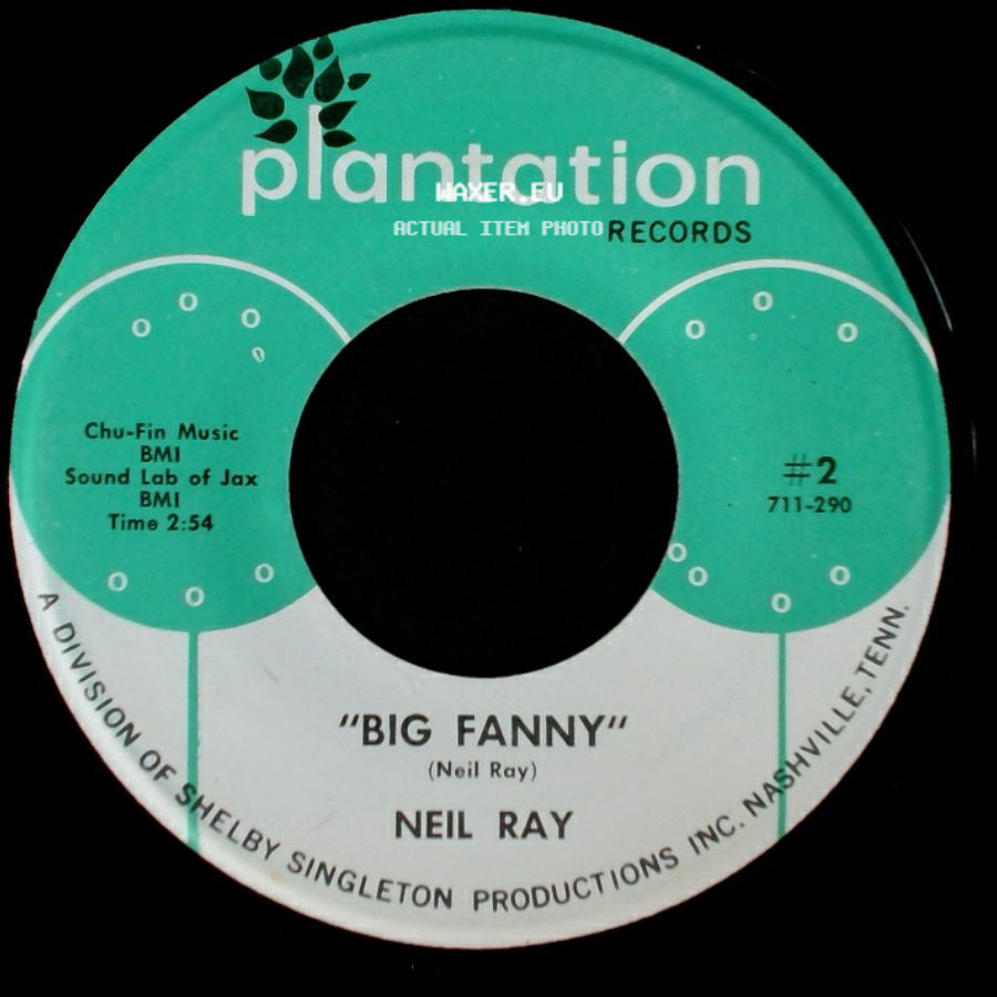 Neil Ray - The Medic / Big Fanny side B