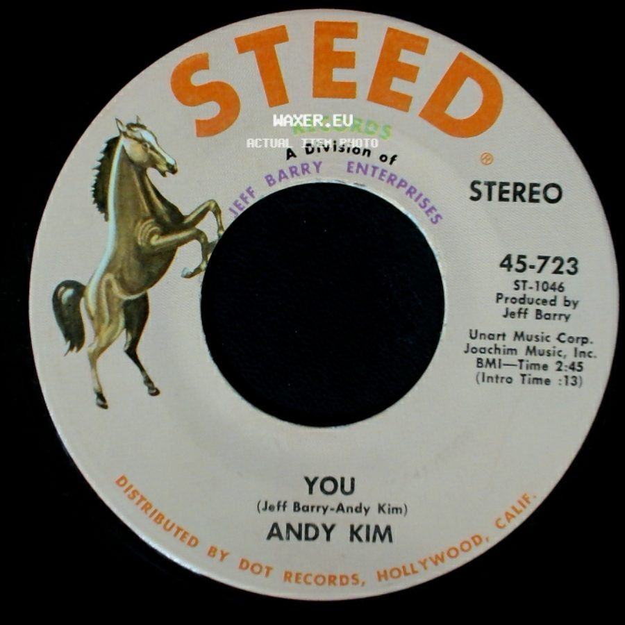 Andy Kim - A Friend In The City / You side B