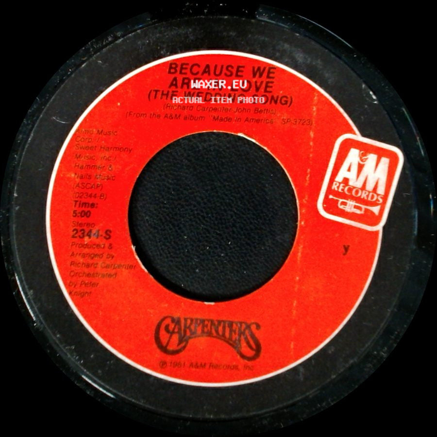 Carpenters - Touch Me When We're Dancing / Because We Are In Love (The Wedding Song) side B