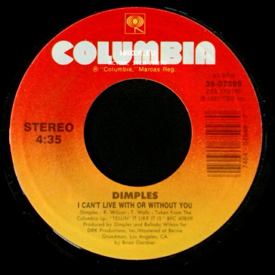 Dimples - I Can't Live With Or Without You / Dog Or Hog? side A