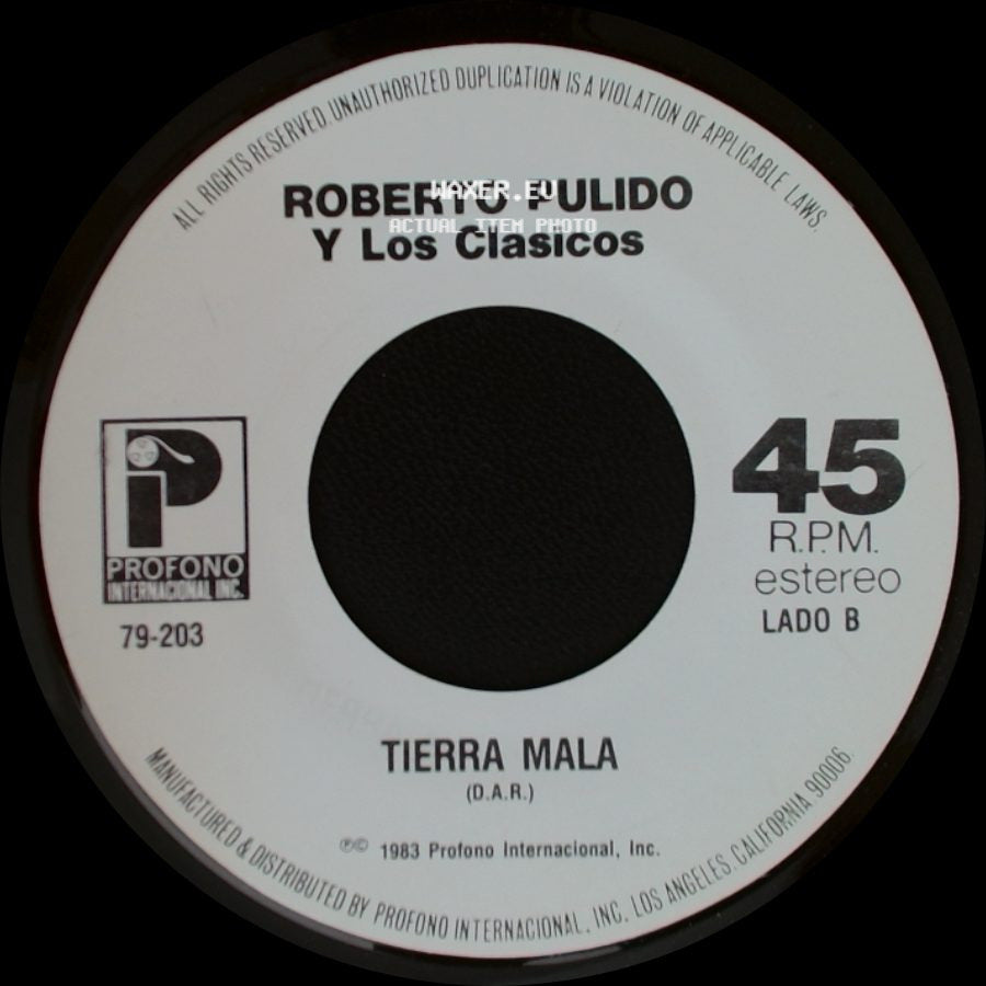 Roberto Pulido Y Los Clasicos - Al Diablo Con Las Mujeres / Tierra Mala side B
