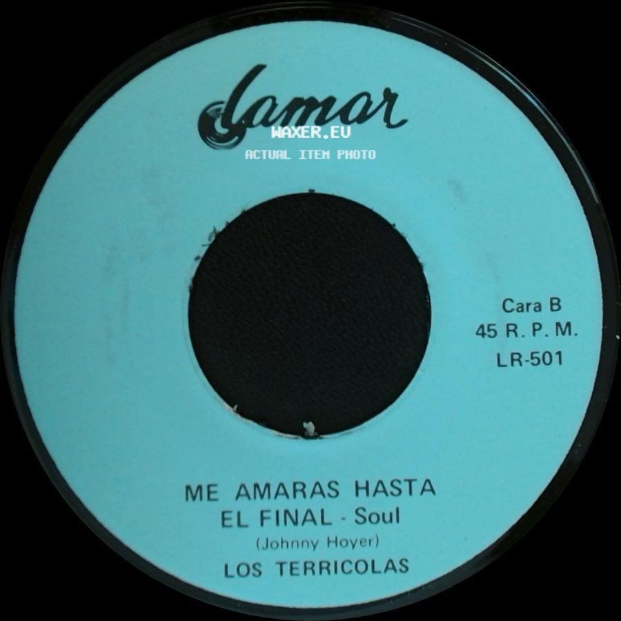 Los Terricolas - Viviras - Balada / Me Amaras Hasta El Final - Soul side B