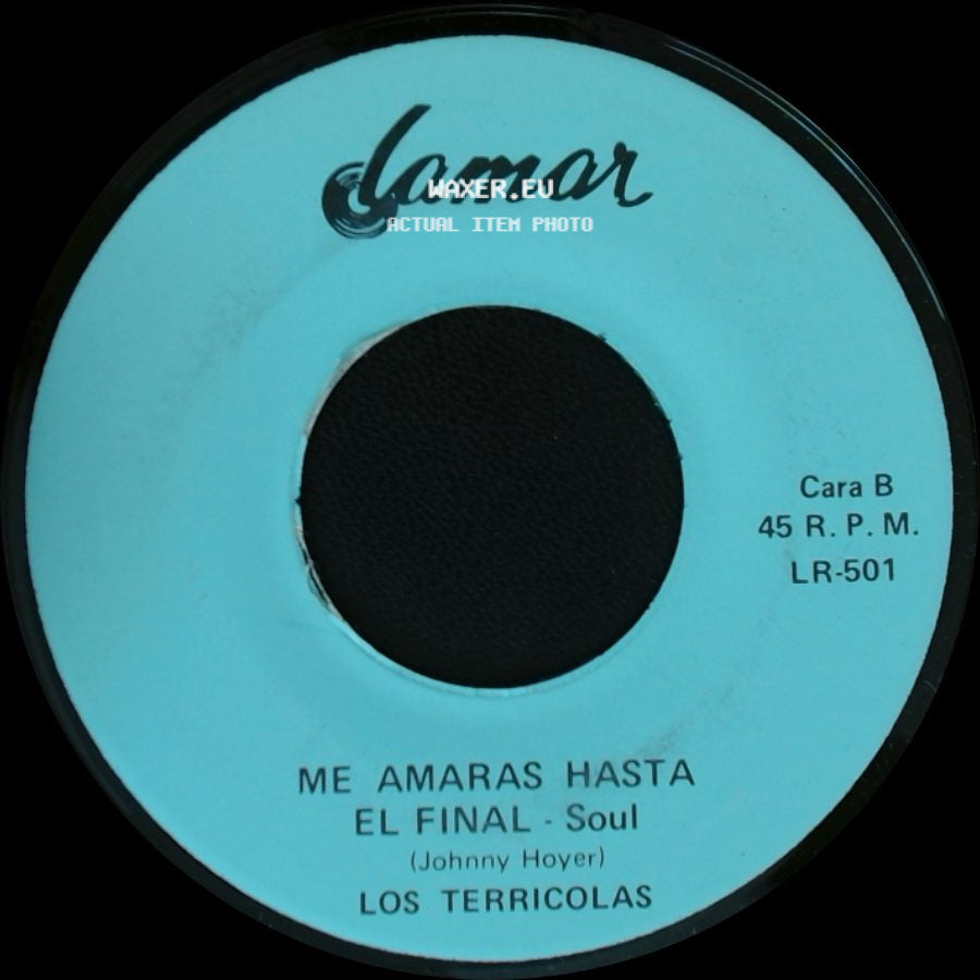 Los Terricolas - Viviras - Balada / Me Amaras Hasta El Final - Soul side B
