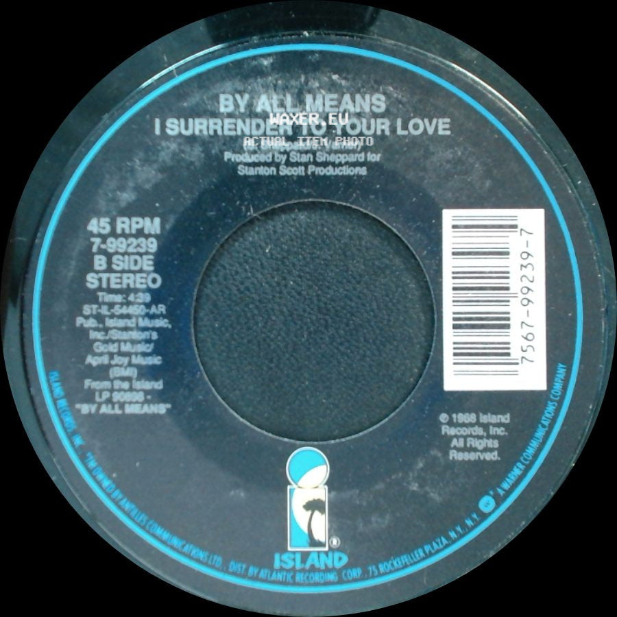 By All Means - You Decided To Go / By All Means I Surrender To Your Love side B