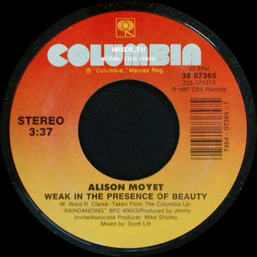 Alison Moyet - To Work On You / Weak In The Presence Of Beauty side B