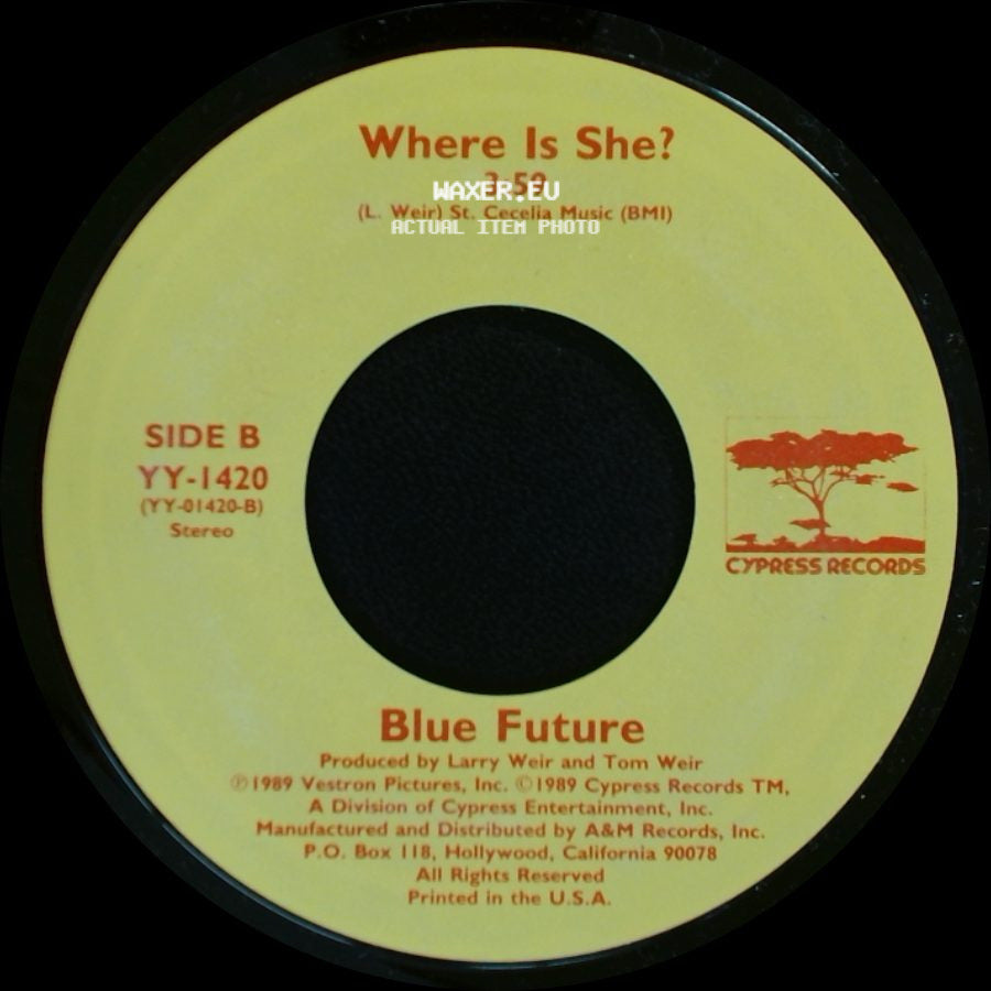 Michael Damian / Blue Future - Rock On / Where Is She? side B