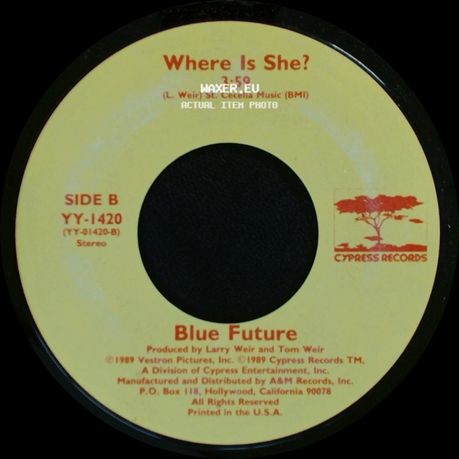 Michael Damian / Blue Future - Rock On / Where Is She? side B