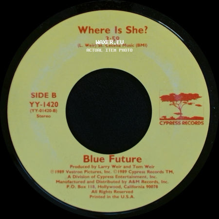 Michael Damian / Blue Future - Rock On / Where Is She? side B