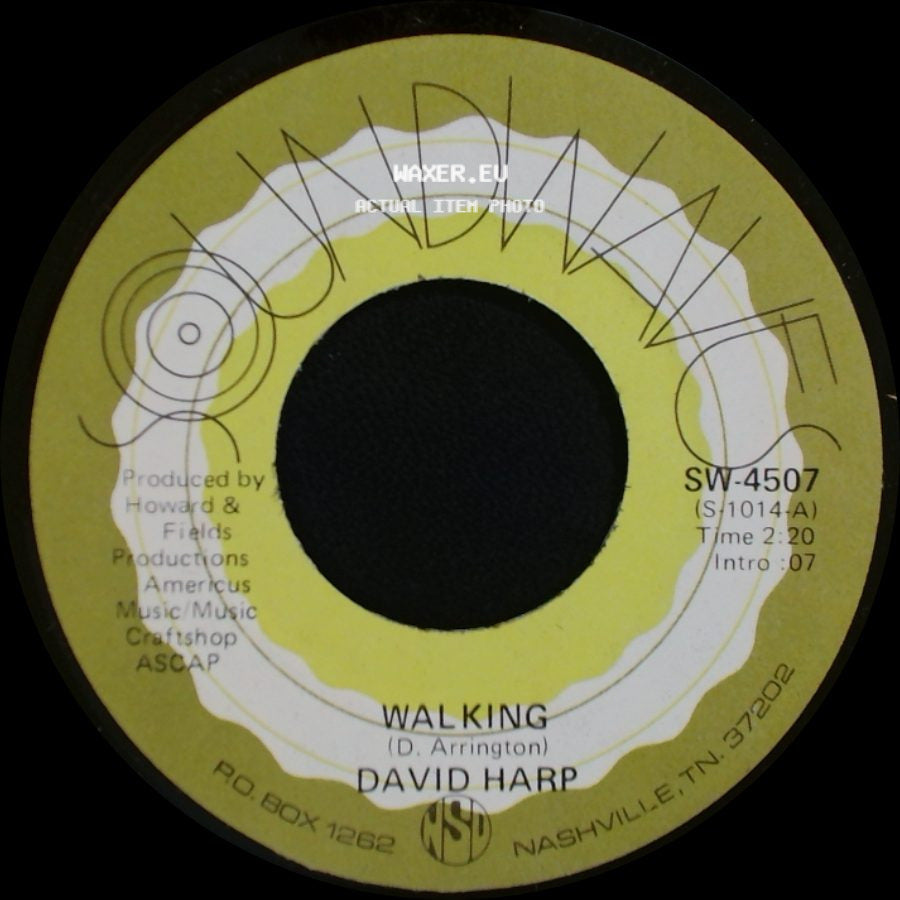 David Harp - Walking / The Joy Of Being Together side A