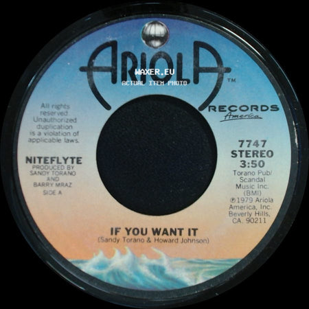 Niteflyte - If You Want It / I Wonder (If I'm Falling In Love Again) side A