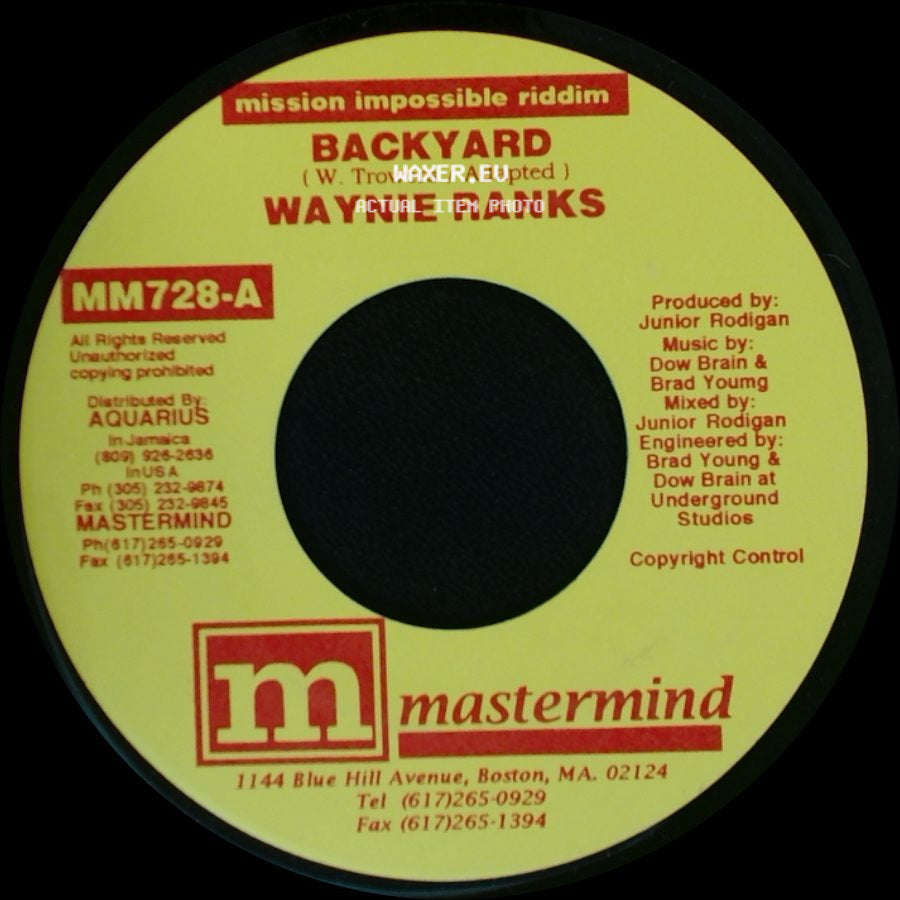 Courtney Morris / Waynie Ranks - Work Hard / Backyard side B