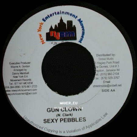 Sizzla / Sexy Pebbles - Unity Is Strength / Gun Clown side B