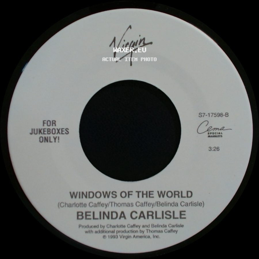 Belinda Carlisle - It's Too Real (Big Scary Animal) / Windows Of The World side B