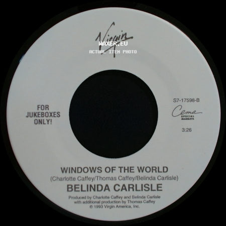 Belinda Carlisle - It's Too Real (Big Scary Animal) / Windows Of The World side B