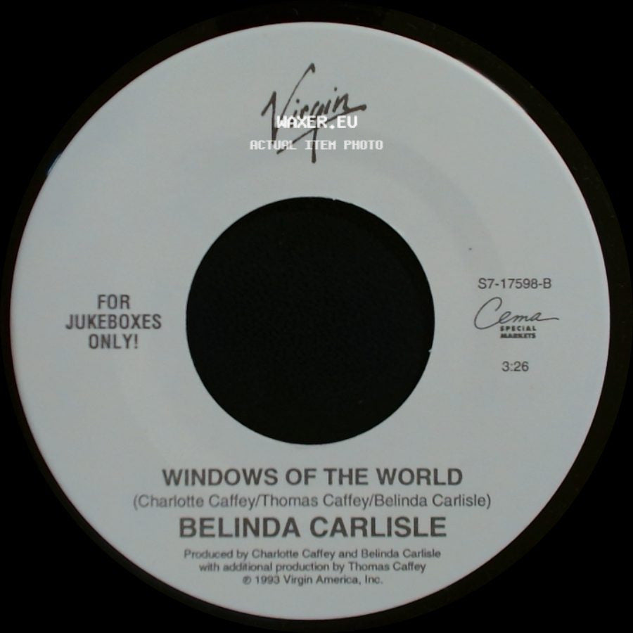 Belinda Carlisle - It's Too Real (Big Scary Animal) / Windows Of The World side B