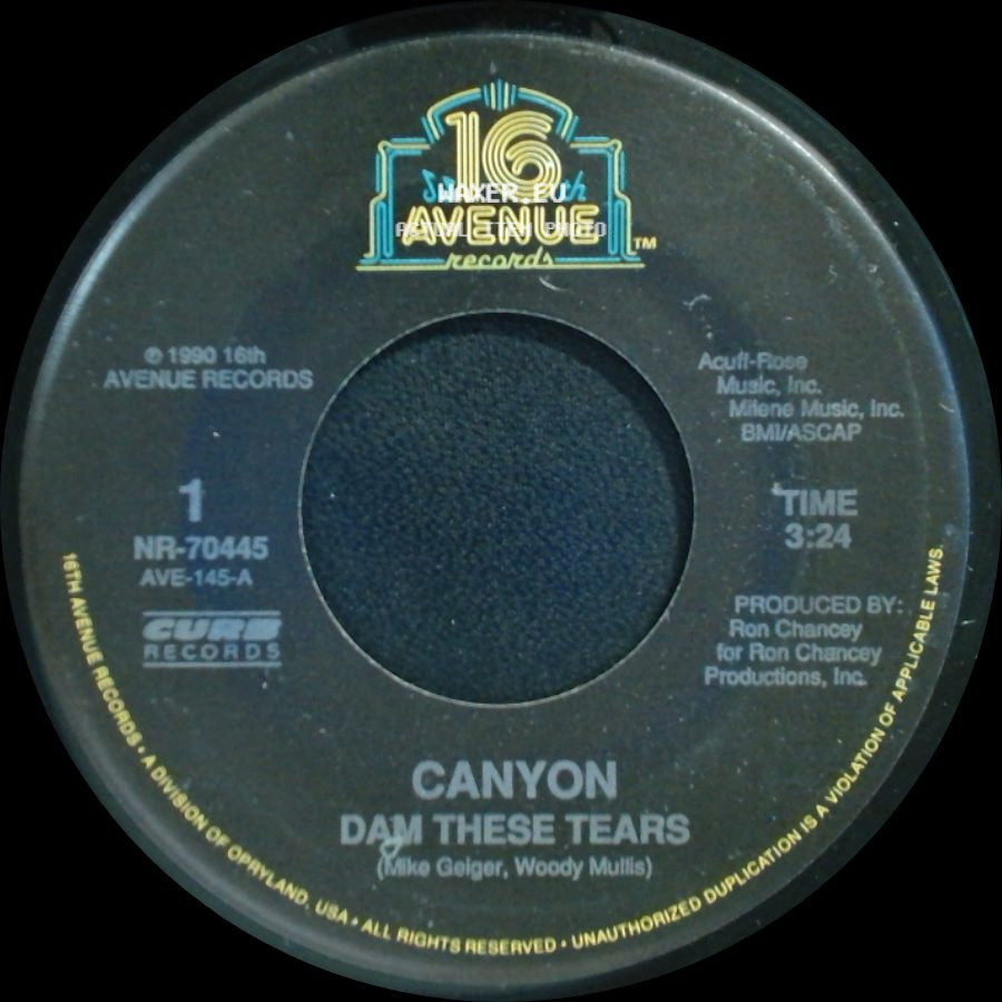 Canyon - Dam These Tears / Carryin' On side A