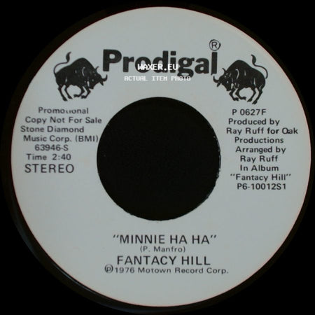 Fantacy Hill - Minnie Ha Ha / Minnie Ha Ha side B