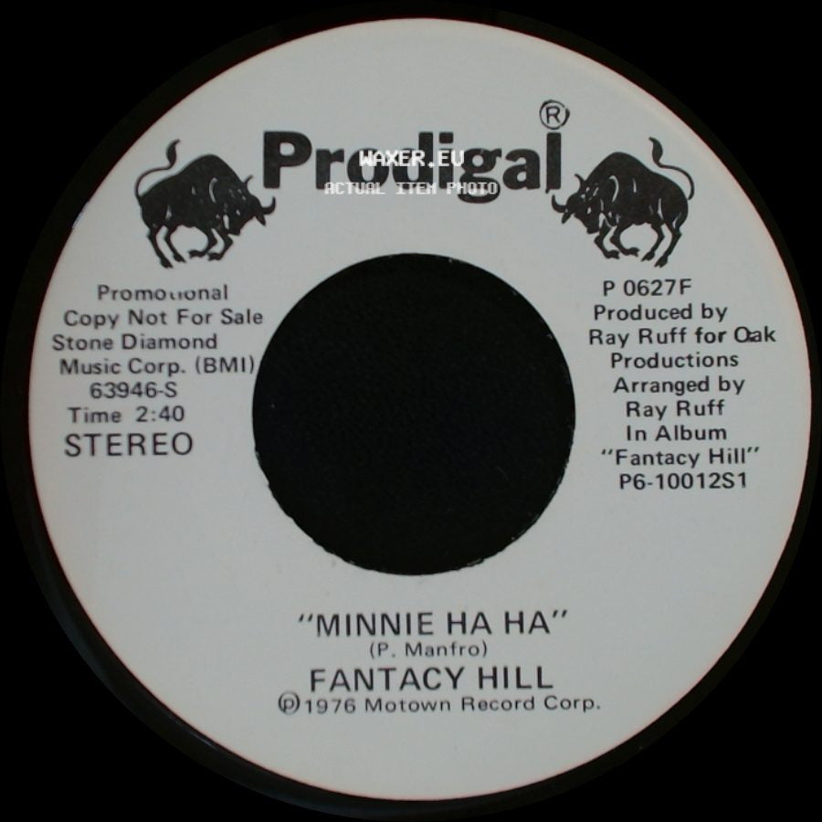 Fantacy Hill - Minnie Ha Ha / Minnie Ha Ha side B
