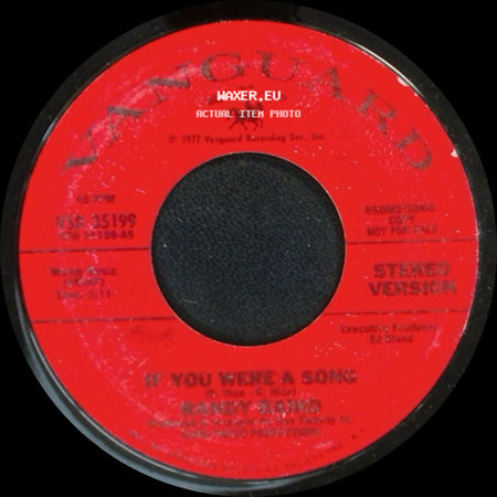 Randy Bishop / Randy Ramos - If You Were A Song / If You Were A Song side B