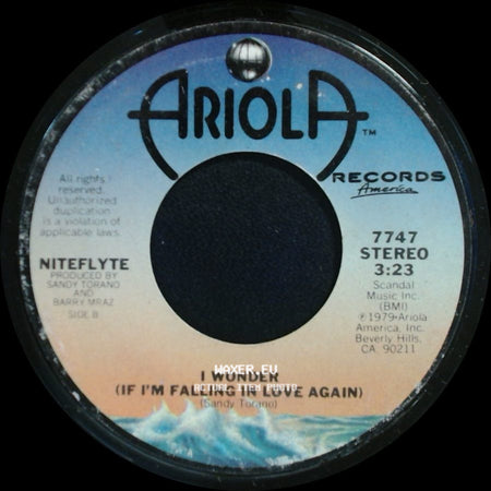 Niteflyte - If You Want It / I Wonder (If I'm Falling In Love Again) side B