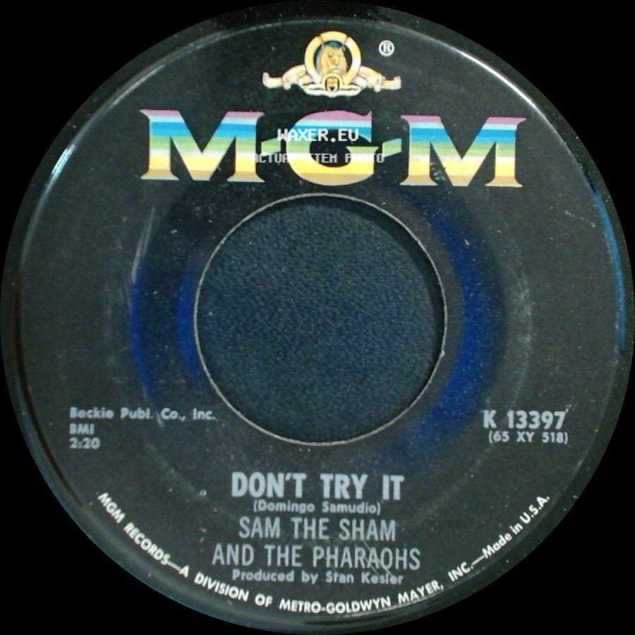 Sam The Sham And The Pharaohs - Don't Try It / Ring Dang Doo side A