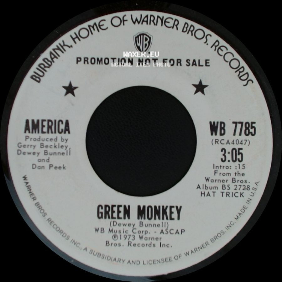 America - Green Monkey / She's Gonna Let You Down side A