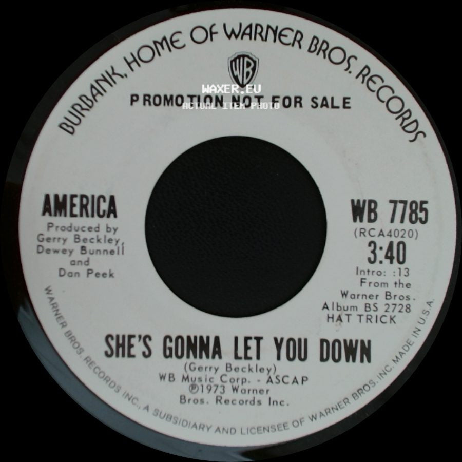 America - Green Monkey / She's Gonna Let You Down side B