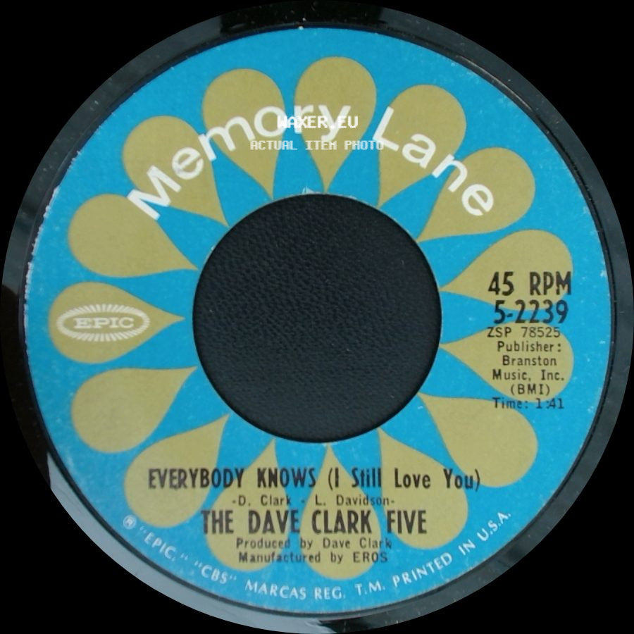 The Dave Clark Five - I Like It Like That / Everybody Knows (! Still Love You) side B
