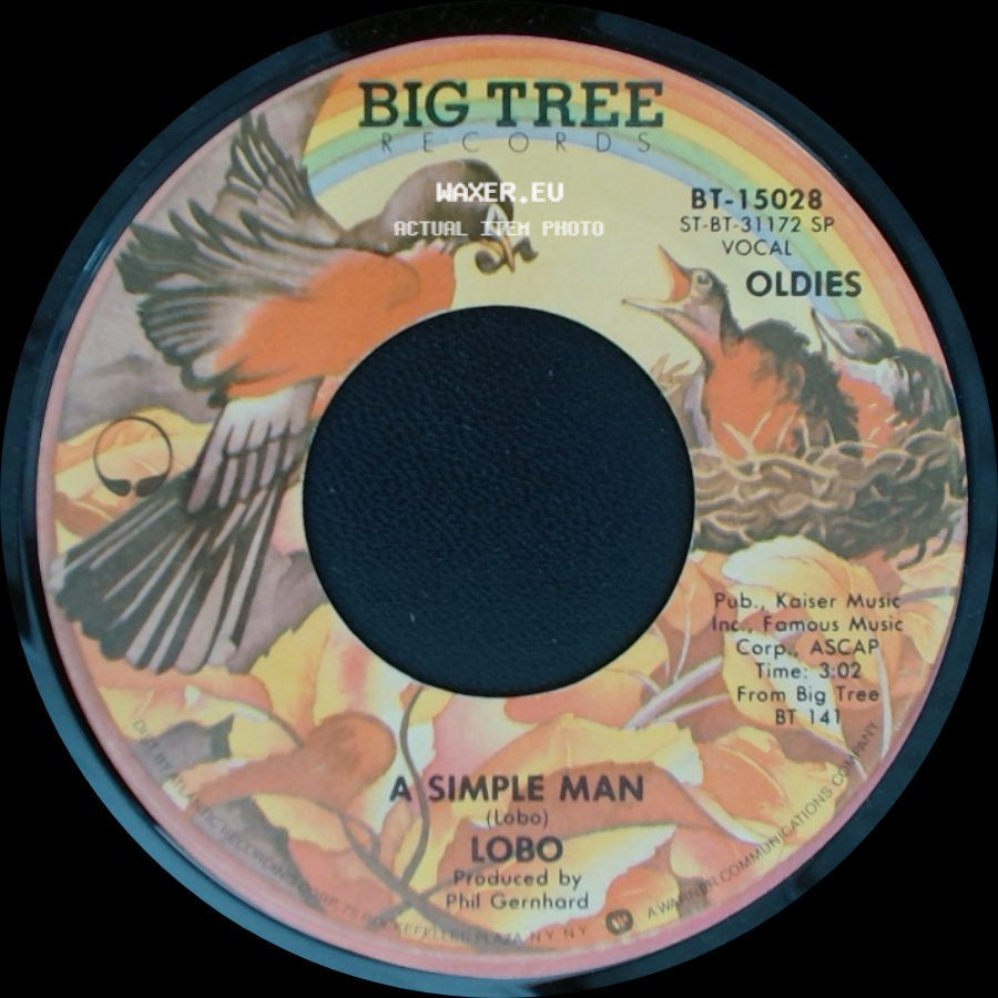 Lobo - I'd Love You To Want Me / A Simple Man side B