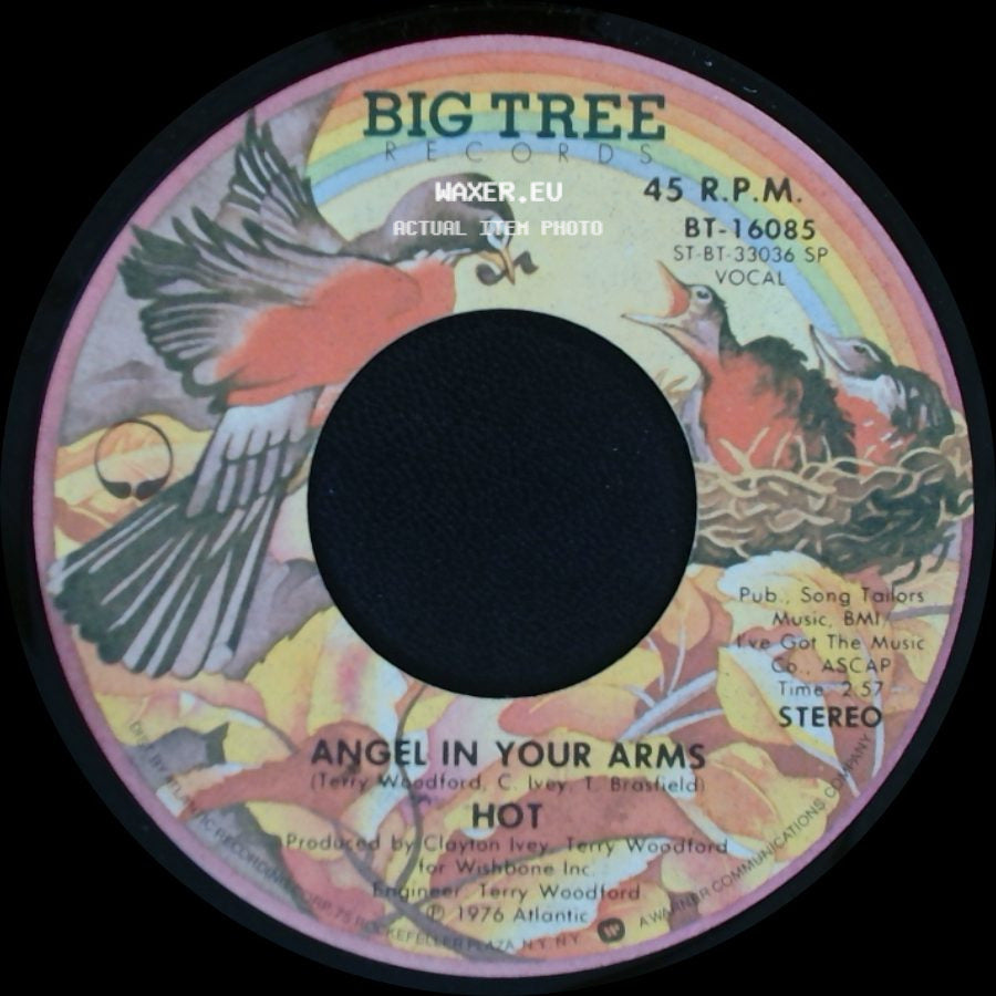 Hot - Just Cause I'm Guilty / Angel In Your Arms side B