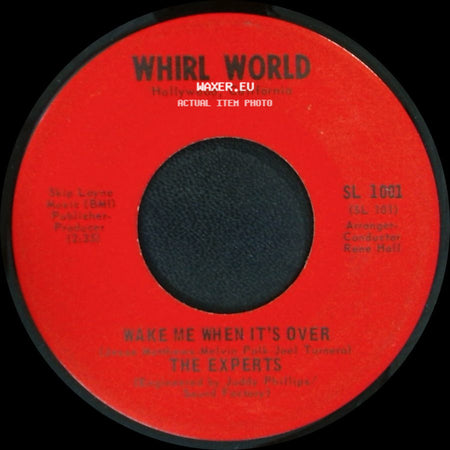 The Experts - You're Bein' Brainwashed Baby / Wake Me When It's Over side B
