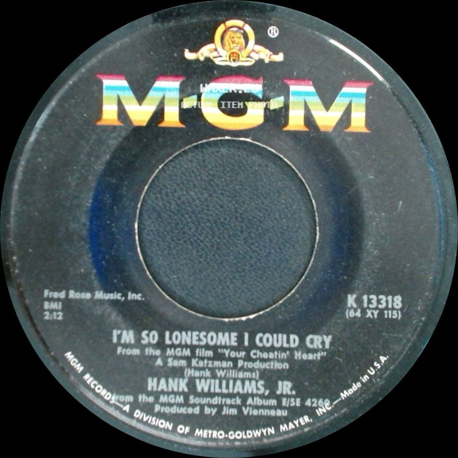 Hank Williams, Jr. - Is It That Much Fun To Hurt Someone / I'm So Lonesome I Could Cry side B
