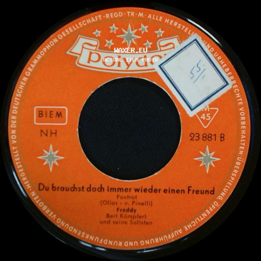 Freddy Berf Kämpfert Und Seine Solisten - Du Brauchst Doch Immer Wieder Einen Freund / Die Gitarre Und Das Meer side A