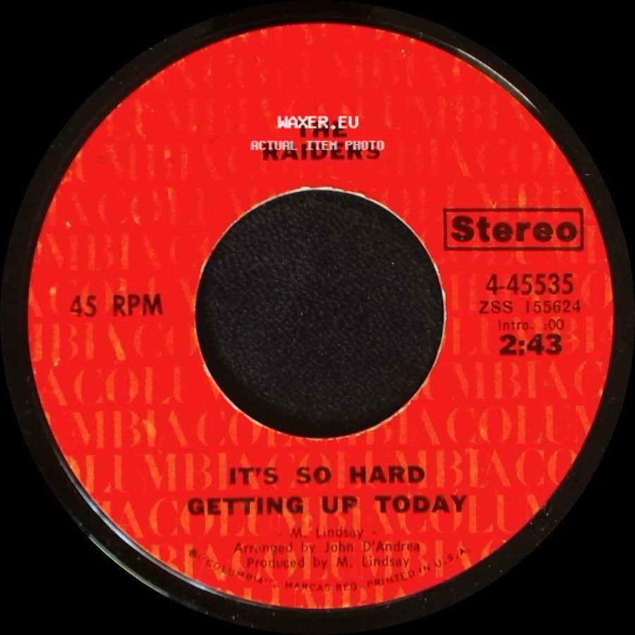 The Raiders - It's So Hard Getting Up Today / Country Wine side A