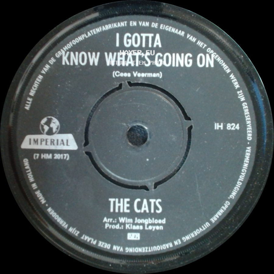 The Cats - I Gotta Know What's Going On / Lea side A