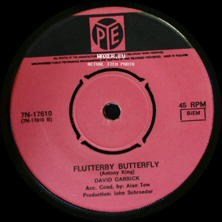 David Garrick - Flutterby Butterfly / A Little Bit Of This (And A Little Bit Of That) side A
